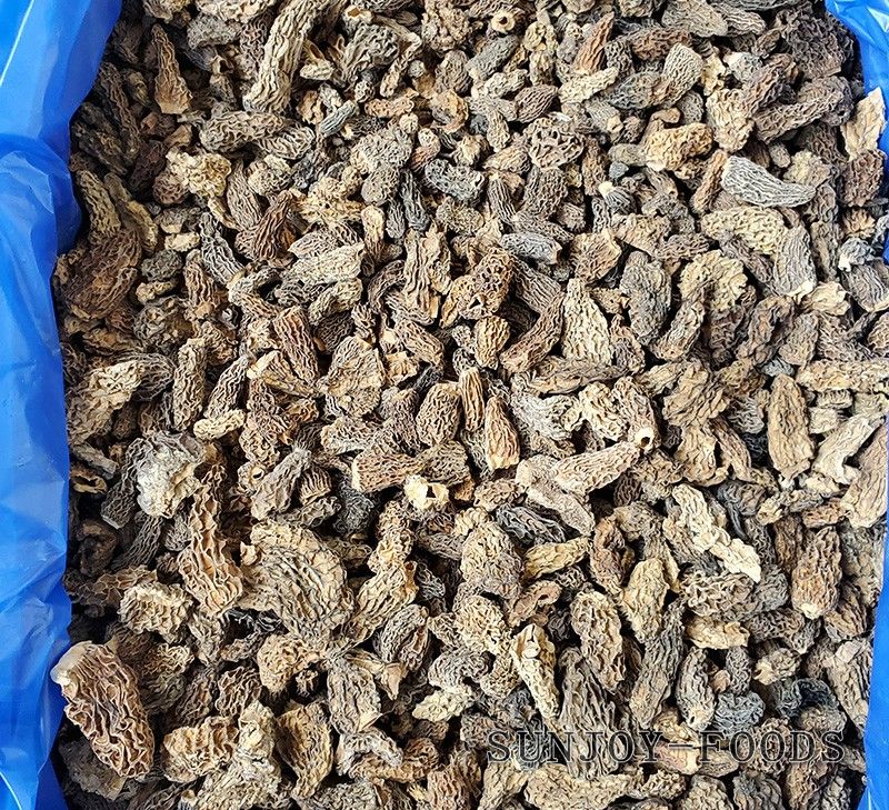 干羊肚菌