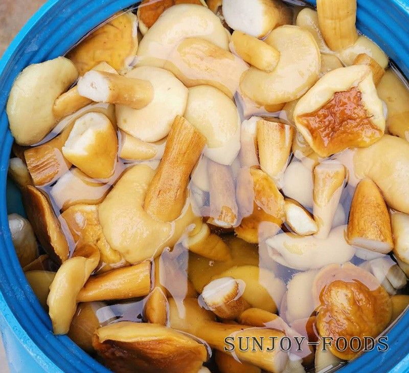 盐渍牛肝菌
