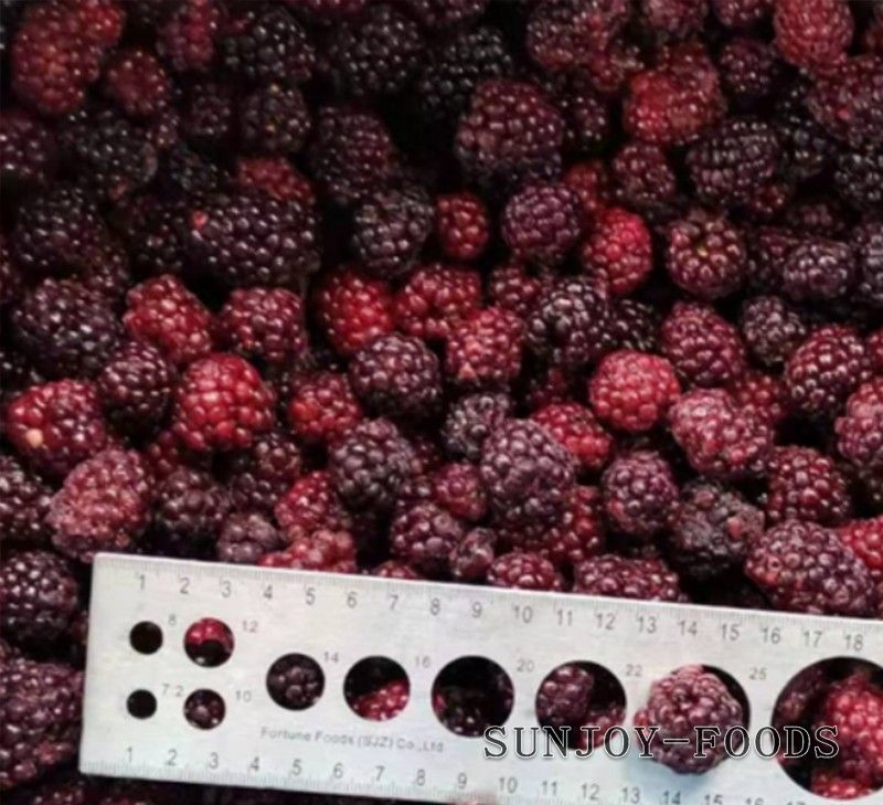 速冻黑莓​