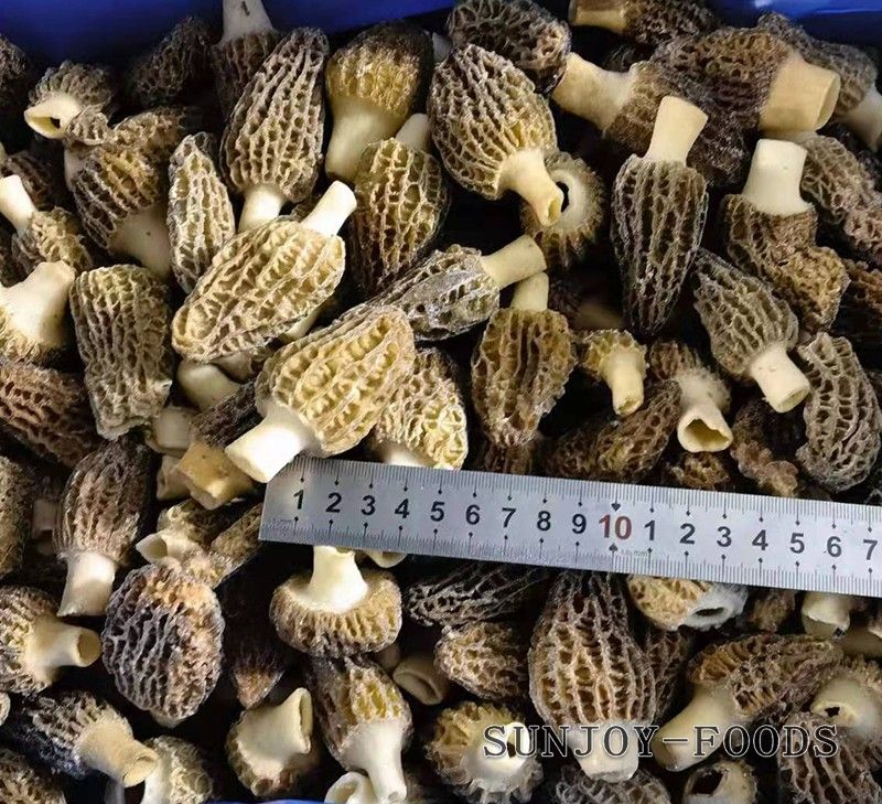 速冻羊肚菌