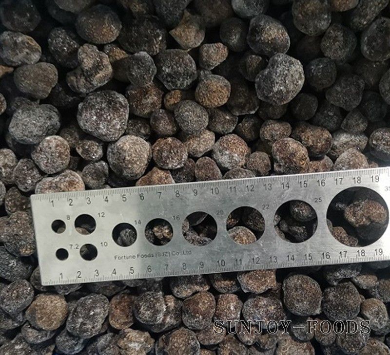 速冻黑松露(块菌)