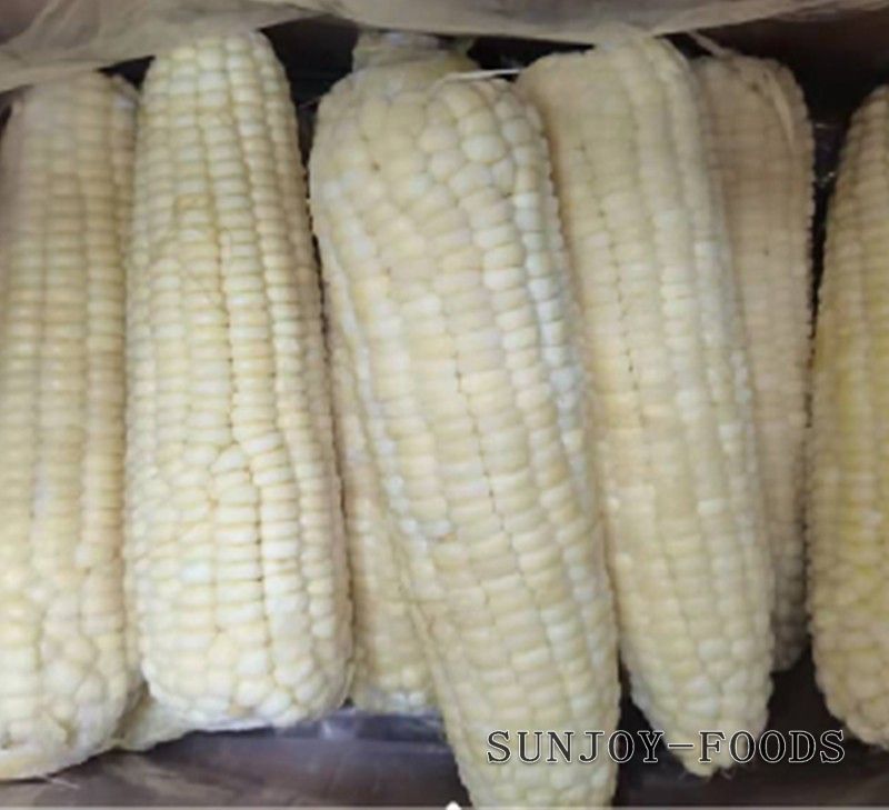 速冻粘玉米/甜玉米粒
